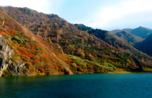 秋色宜人 带动文旅市场持续火热