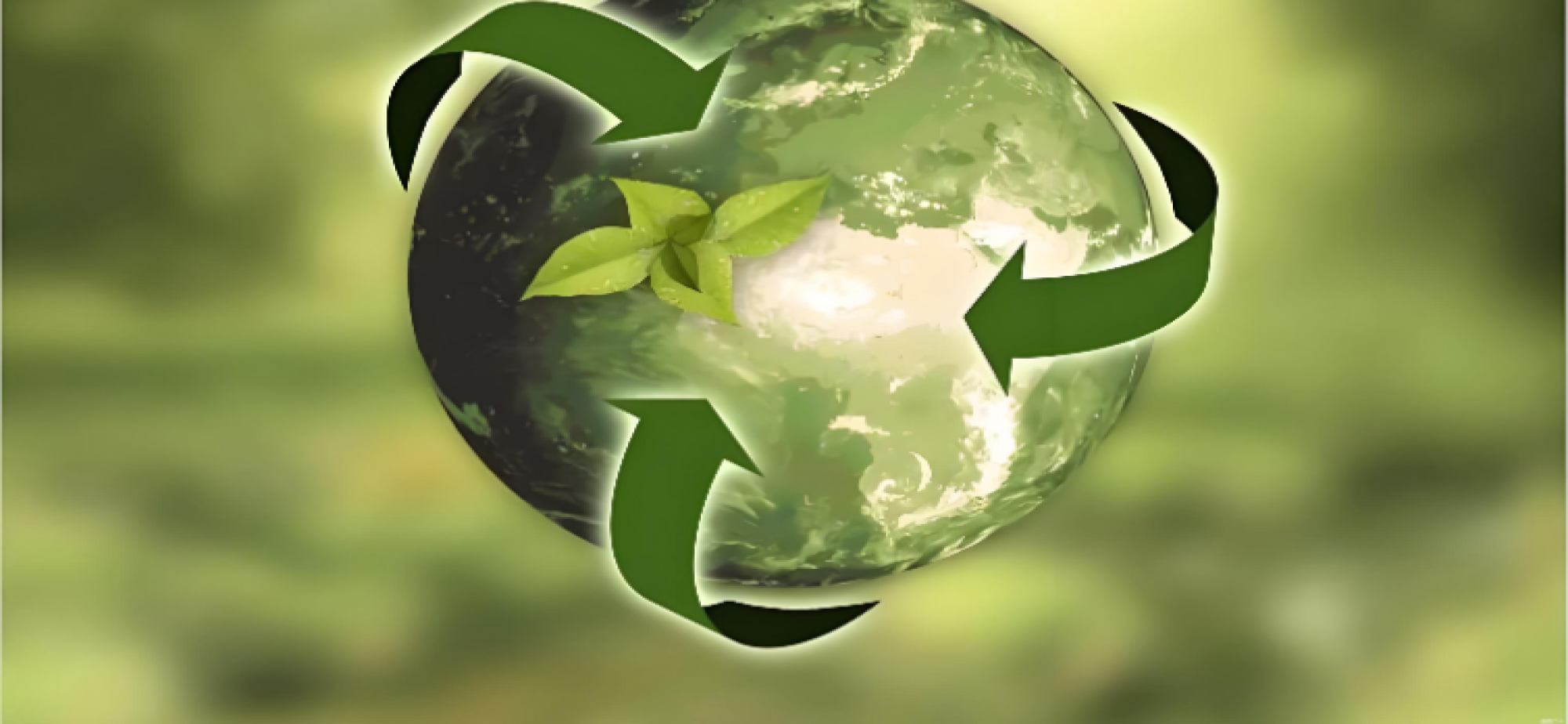 共享中国大市场的时代机遇