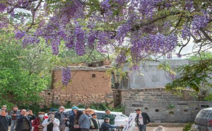 紫藤花下，文艺赋美的乡土实践