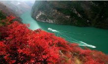 好美！多地红叶联动，一起看万山红遍