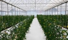 以设施农业为名非法采矿、整改弄虚作假……14个典型问题被通报