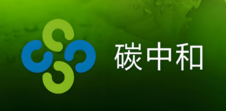 碳达峰碳中和的中国行动