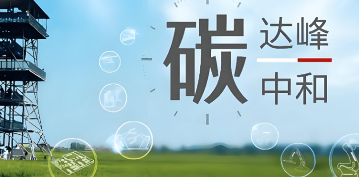 国务院新闻办公室发布《碳达峰碳中和的中国行动》白皮书