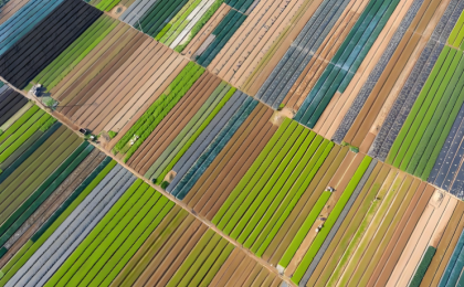 七大“深度科技”将引领全球农业变革 