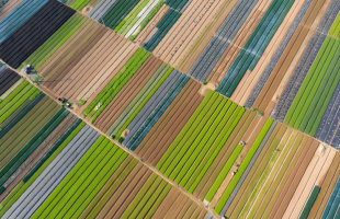 七大“深度科技”将引领全球农业变革 