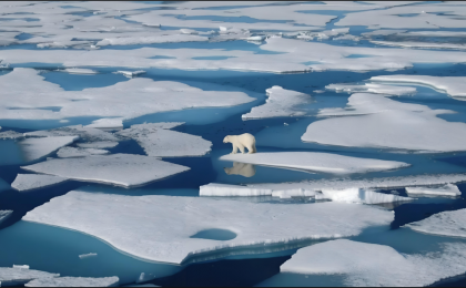 中国在应对气候变化上是实打实的“行动派”  