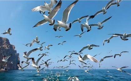 风物旅行或成入境游新支点    