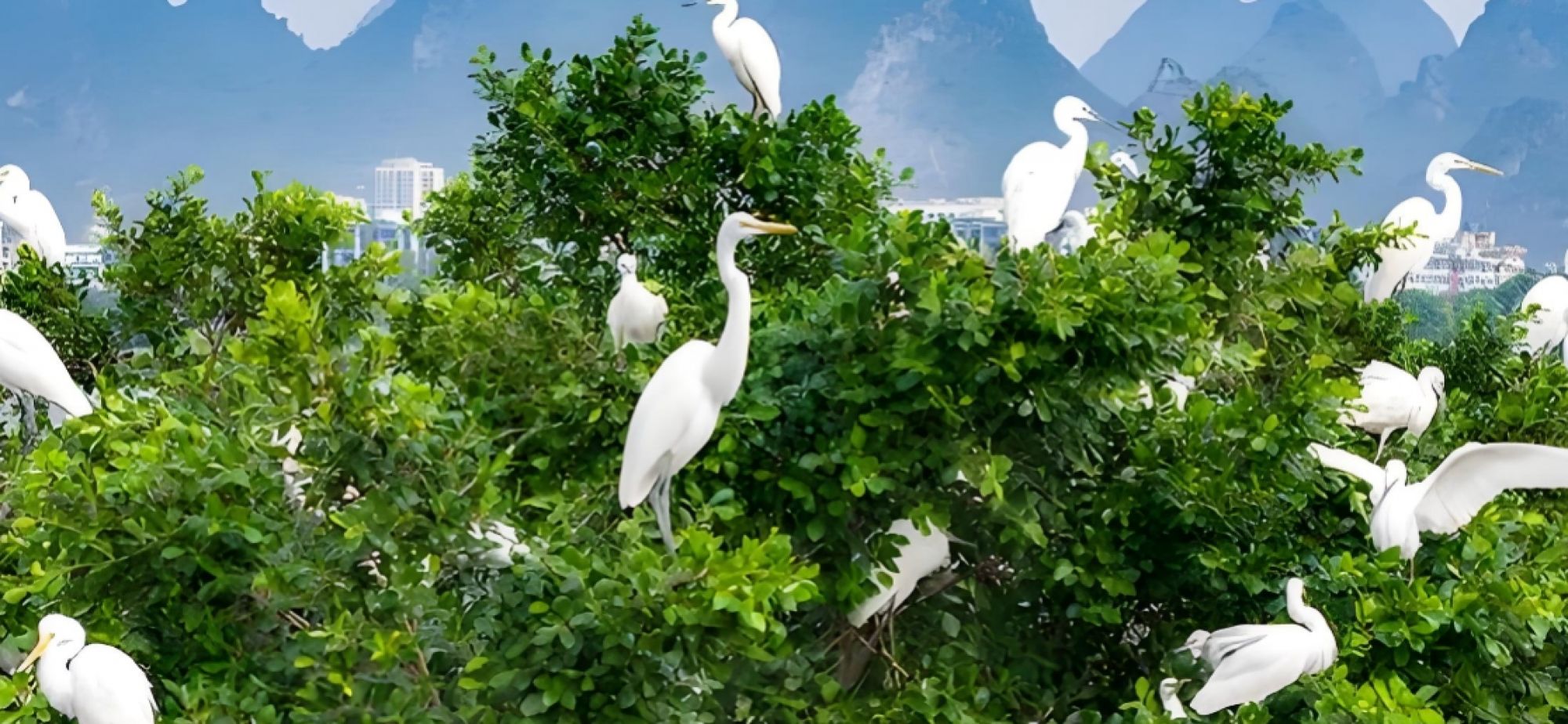 坚持“环保为民”，“十五五”还要加把劲！