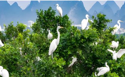 坚持“环保为民”，“十五五”还要加把劲！