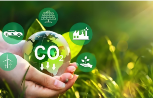 通过绿色这把“金钥匙”，塑造绿色贸易新优势  