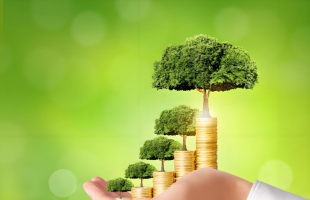 ETF两市成交额4628.17亿元  