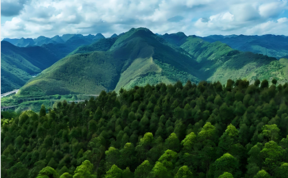 多部门部署加快建设现代化国有林场