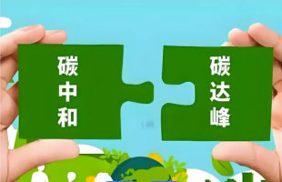 国家气候变化专委会副主任王毅：中国气候行动是“发展题”，已超越单纯减排  