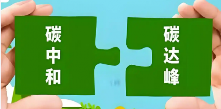 国家气候变化专委会副主任王毅：中国气候行动是“发展题”，已超越单纯减排  