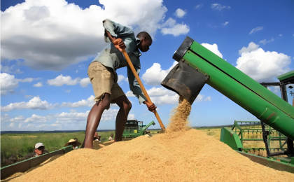 中国对非洲农业技术援助实践在世贸组织获赞誉 