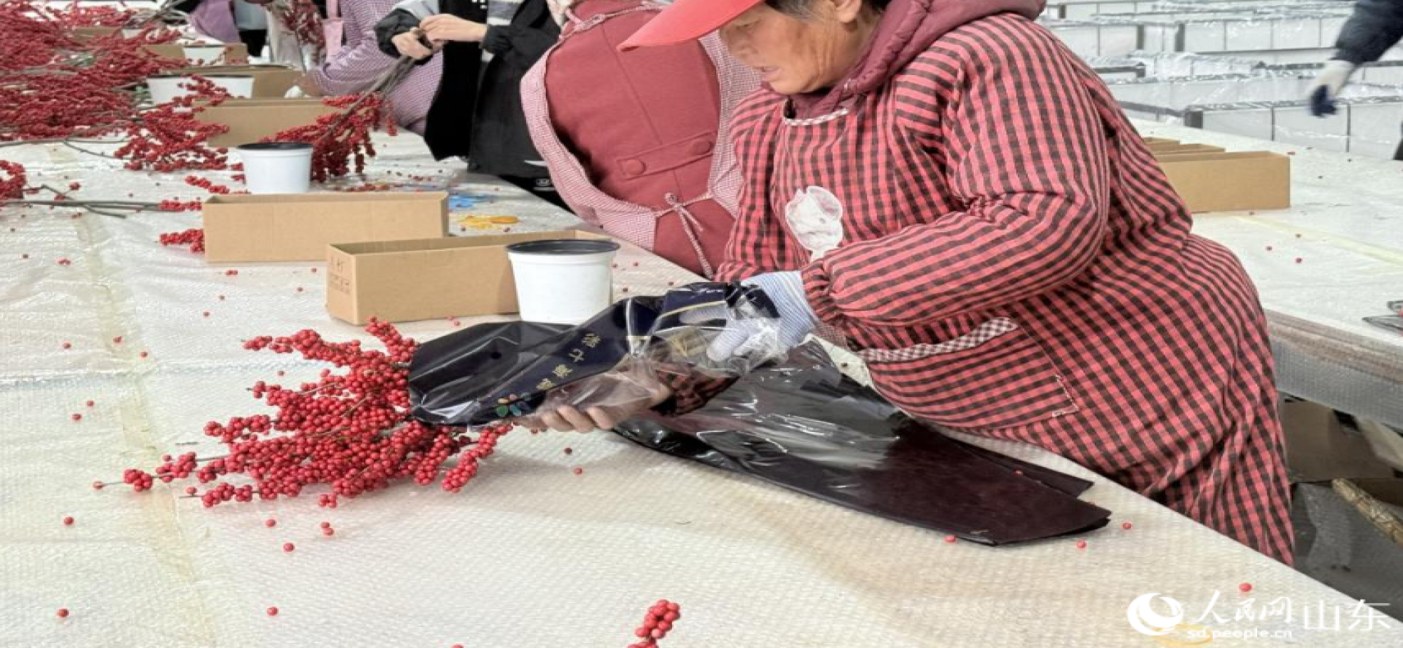 山东威海：成山民宿兴村，菱角湾红果富民