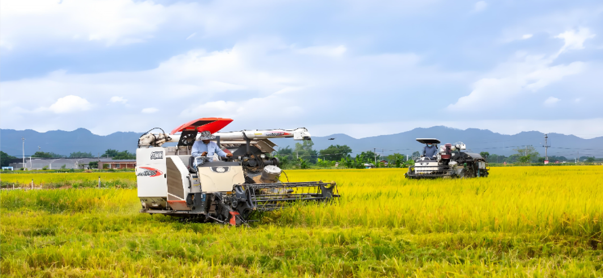 为农业农村现代化贡献智慧力量