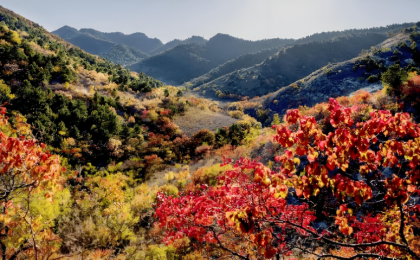 辽宁25项举措优化自然资源领域营商环境  