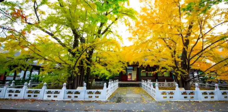 给公园立新规矩是大城精治题中之义 