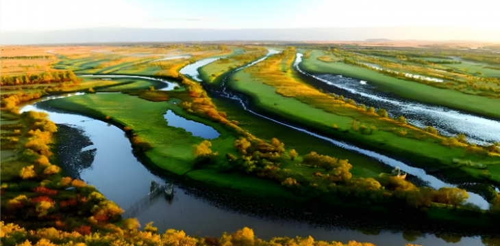 黑龙江全面实行用地用林用草联动审批  