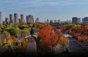 大运河15秒，冬日“调色板” 