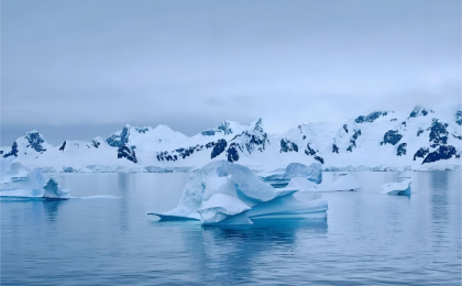 南极寒风里的“中文热” 