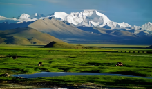 为科学保护地球第三极提供参考