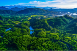 粤山粤水，广开“绿富同兴”之道  