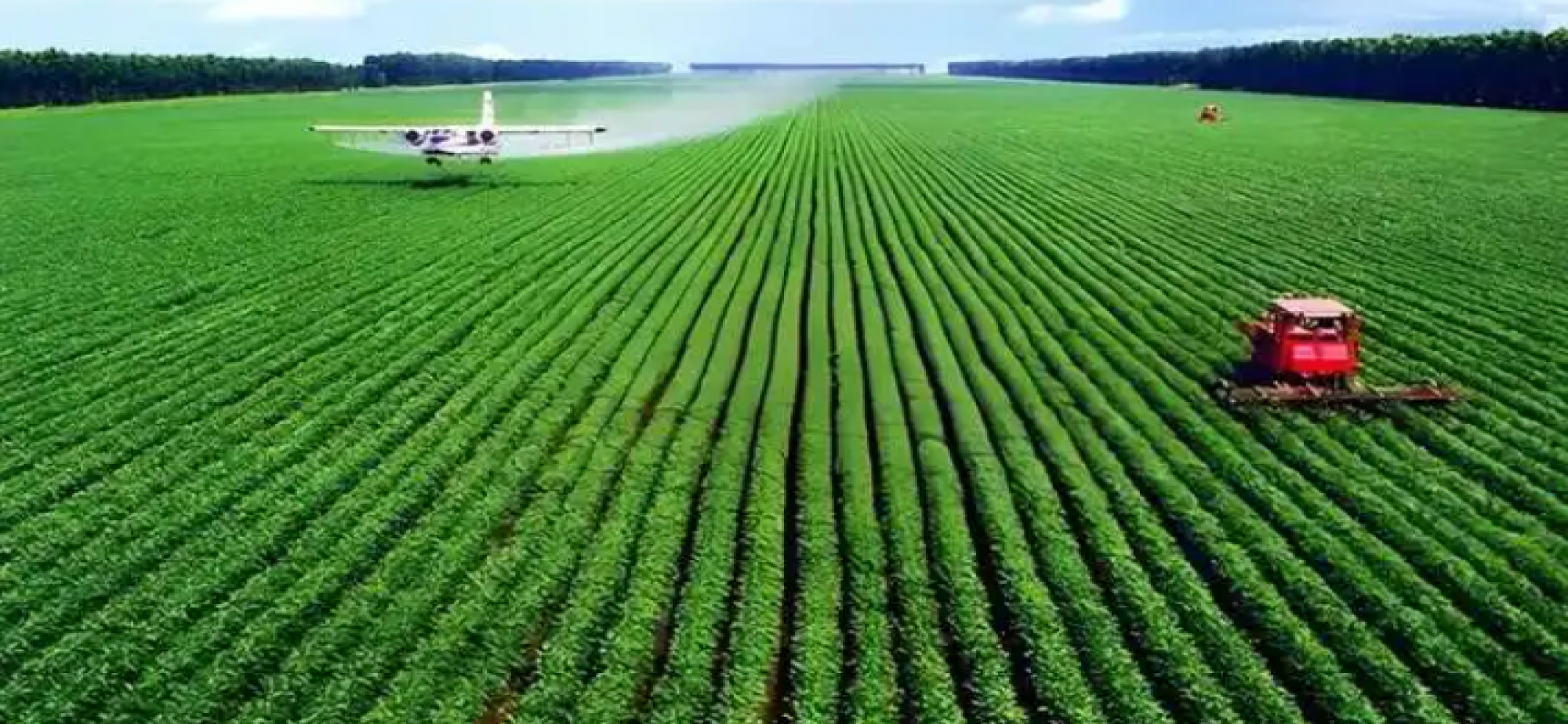 加快农业农村现代化，扎实推进乡村全面振兴