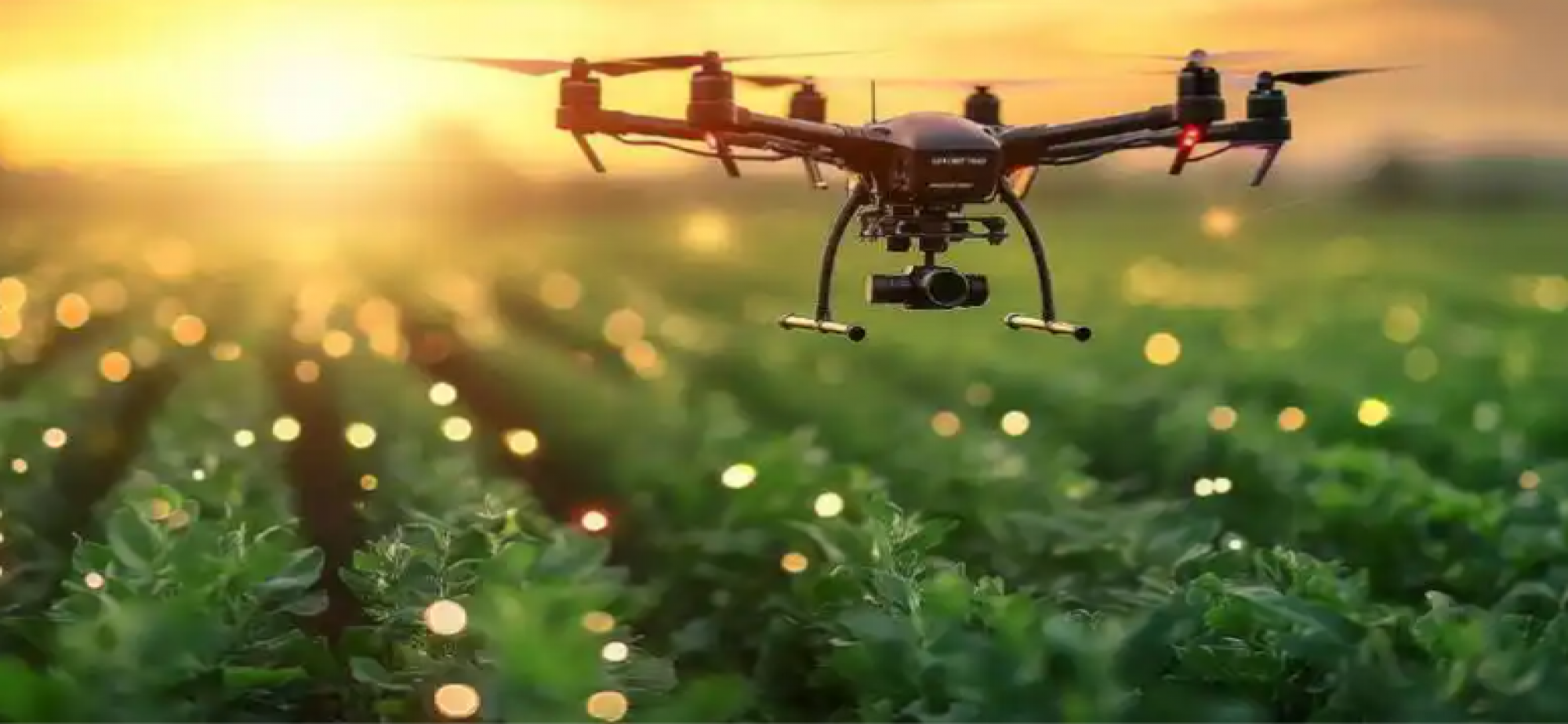 全链条塑造绿色低空产业