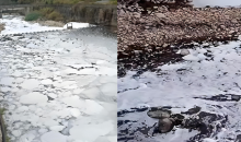 广西通报“桂林一河段出现白色泡沫”：龙胜生态环境局失职渎职  