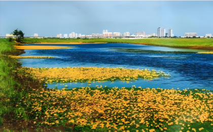 湿地面积稳定在8亿亩以上，“十四五”时期我国湿地保护成效显著  