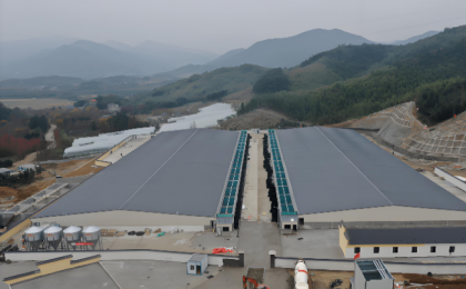 CCER扩围，推动养猪场绿色低碳转型  