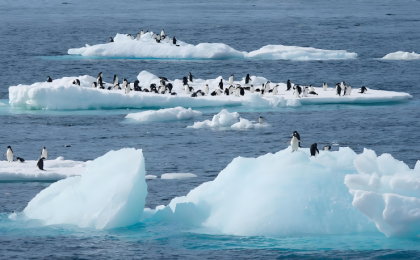 北极气温再创新高，为1900年以来最高值 