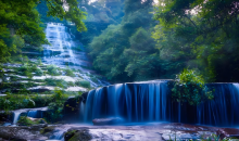 如何保护高海拔地区植物群落物种多样性？  