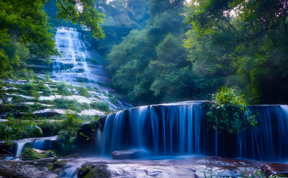 如何保护高海拔地区植物群落物种多样性？  