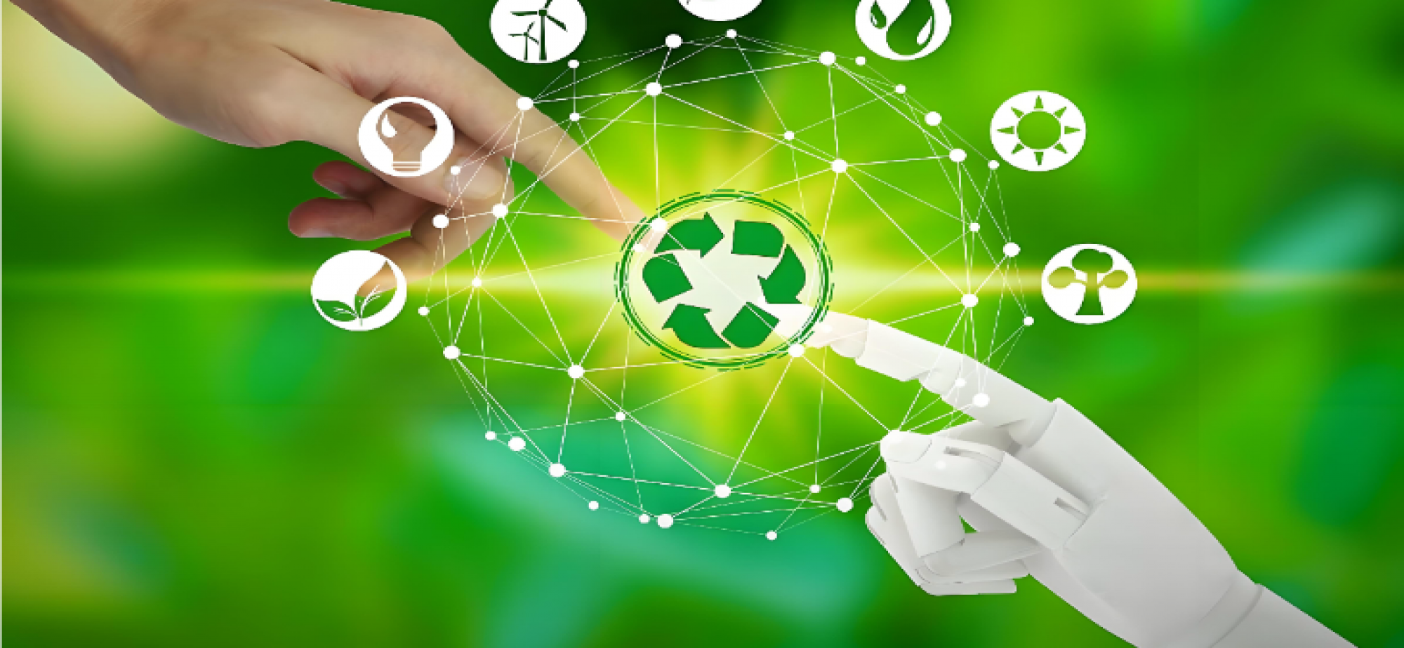 碳标签，为农产品增加竞争力