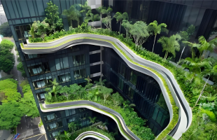 建筑变“绿”的秘密  