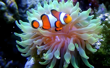 中国交存《海洋生物多样性协定》批准书  