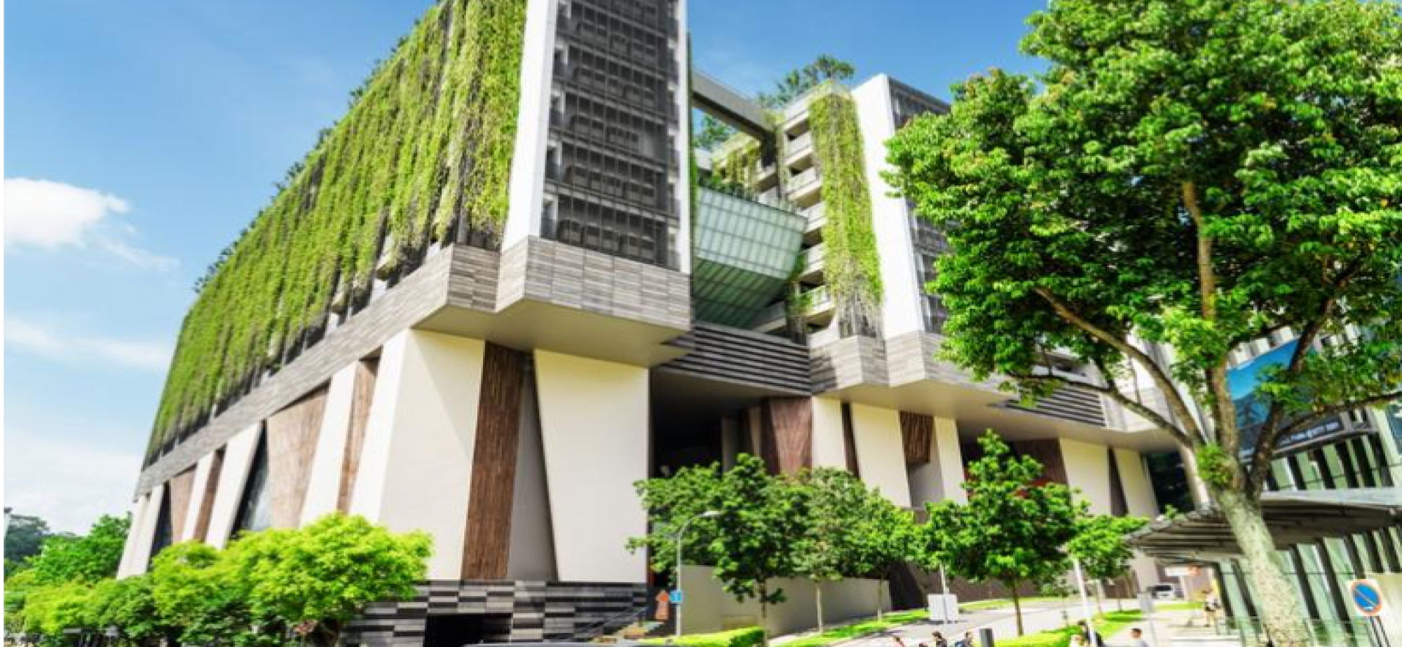 在一座绿色建筑里上班，是什么体验