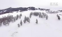 新疆哈巴河雾凇美景宛如水墨画  