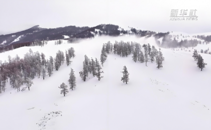 新疆哈巴河雾凇美景宛如水墨画  