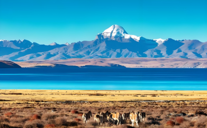 “十四五”时期西藏实施考古项目200余项  