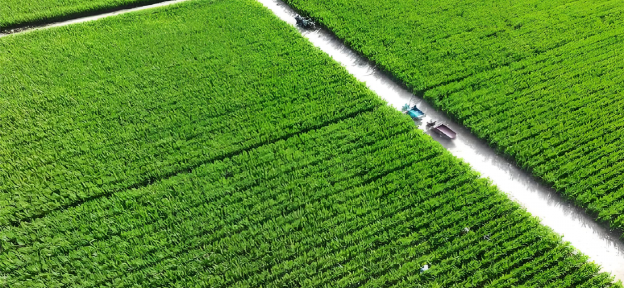 农业农村部高质量推进高标准农田建设