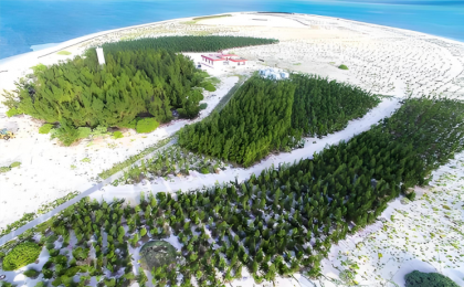 三沙西沙洲：从零星几棵树到植被覆盖率超90%