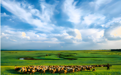 守护“牧草王国”  