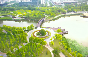 城市湿地共生 绘就灵动画卷  
