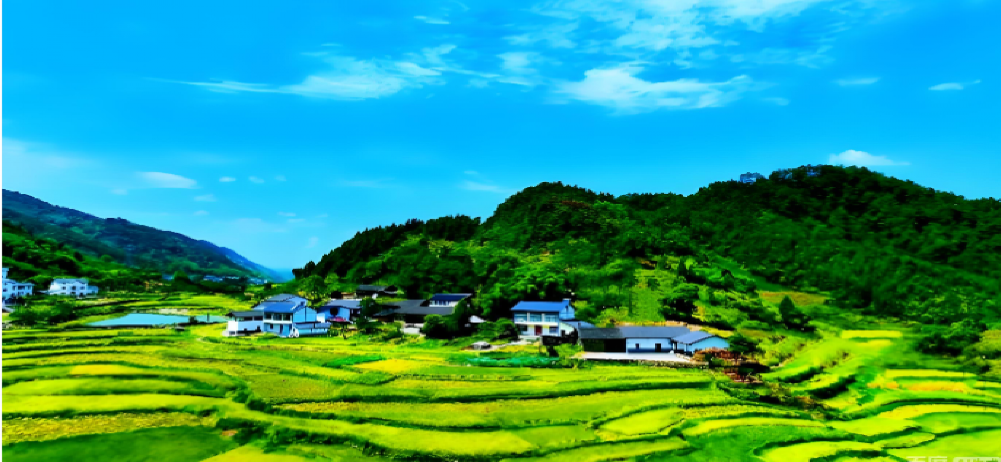 奋力推进美丽中国建设 绘就人与自然和谐共生新图景
