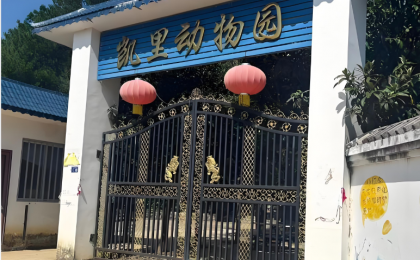 凯里动物园，靠什么走红？    