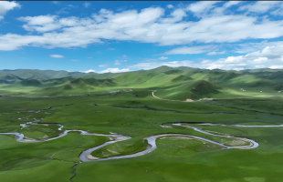 2025年自然资源工作取得亮眼成效  